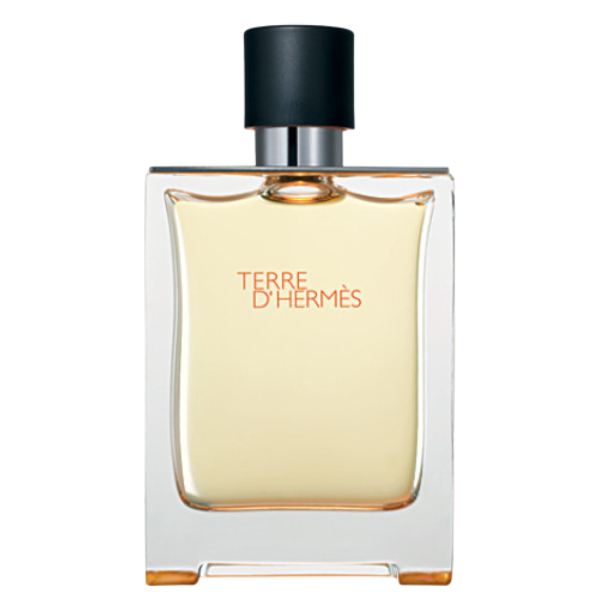 Hermès Terre d'Hermès Eau de Toilette